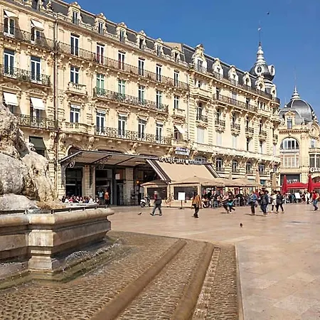 Hotel Hotelf1 Montpellier Sud Lattes